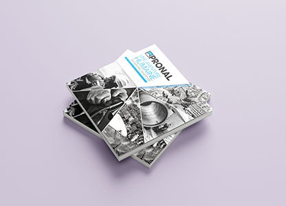 Livre entreprise Pronal