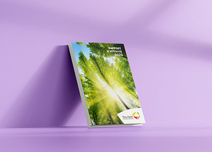 Rapport activité Baudelet