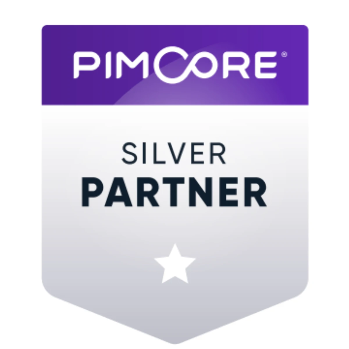 Interface Pimcore