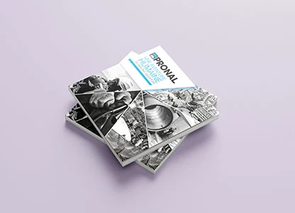Livre entreprise Pronal